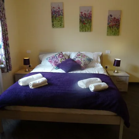 Kramer Hisa קובאריד